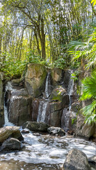 Naklejka premium waterfall in the woods