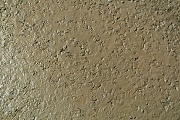 bird footprints in brown mud of salt lake