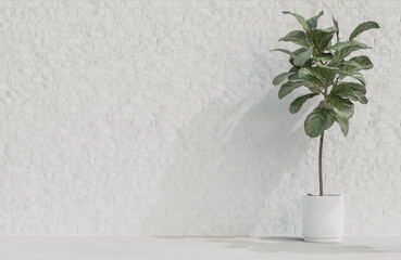 Plant on white brick wall background minimalist style with text space. 3d model and illustration.