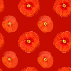 Summer seamless pattern with poppy flowers.
