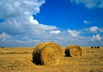 English country cornfield with Straw bales in high summer