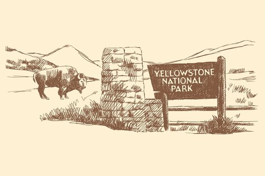 Sketch of the Yellowstone National Park sign, bison and nature in the background, USA, Wyoming. Vintage brown and beige card, hand-drawn, vector. Landscape view, silhouette from lines. Old design.