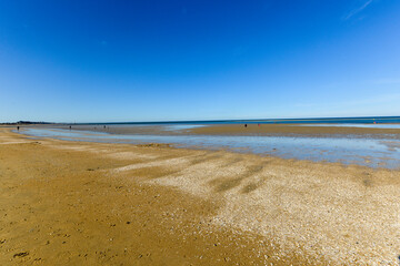plage, sable, coquillages, Houlgate, Calvados, 14, Normandie