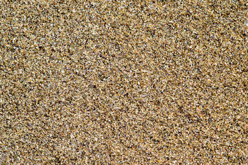 texture of a carpet