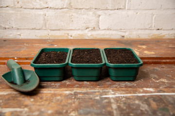 photograph of seed trays filled with compost ready for planting in a potting shed