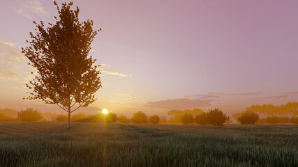 Fototapeta na wymiar Image of the sunset in the forest 3D illustration