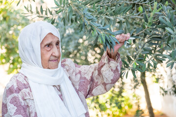 Old woman holding a branch