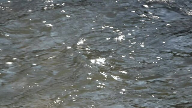 rivi&egrave;re