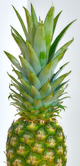 pineapple lies on a white background