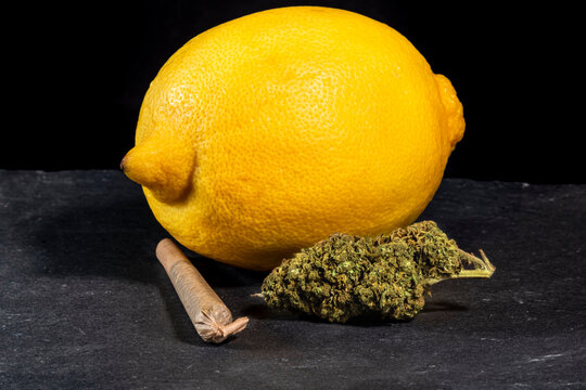 Lemon marijuana weed joint on black background lemon haze
