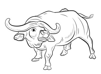 Image of a buffalo for coloring with paints and colored pencils.

Symbol of the year 2021. Large wild animal buffalo, black and white image.