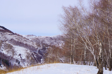 Beautiful winter landscape in the mountains. Mountains with snow and fir trees. A little-visited tourist route without ice.
