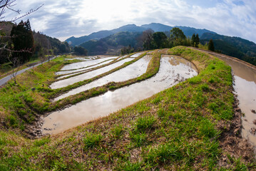 棚田