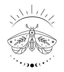 Mystical boho moth in outline style. Vector magic butterfly. Vintage monochrome print. Celestial insect. Symbols of alchemy and esotericism