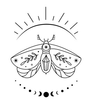 Mystical boho moth in outline style. Vector magic butterfly. Vintage monochrome print. Celestial insect. Symbols of alchemy and esotericism