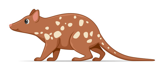 Quoll animal standing on a white background