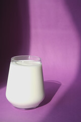 Fresh and cold milk on a purple background. Light from the window. 