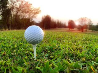 The white golf ball that the athlete hit falls into the red ant nest.