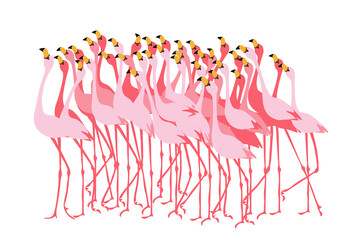 Stand of pink flamingos. Flock of birds. Simple flat style.