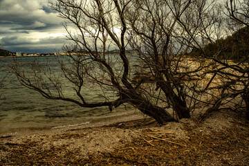 bonita playa en un d&iacute;a "gris", mallorca