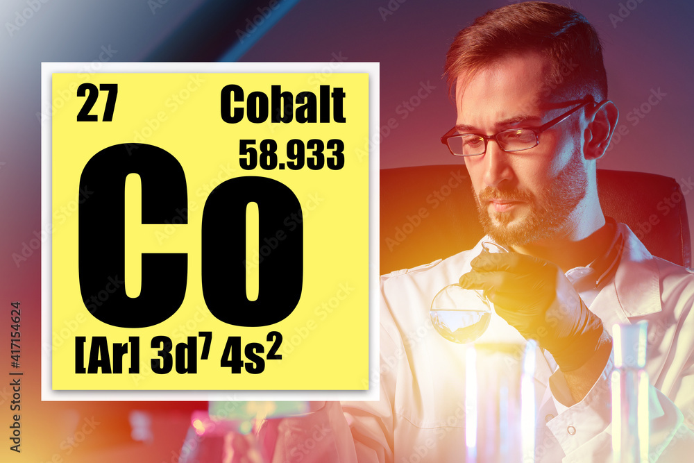 Poster cobalt element from periodic table. cell with co element. chemical studies of cobalt. lab employee i