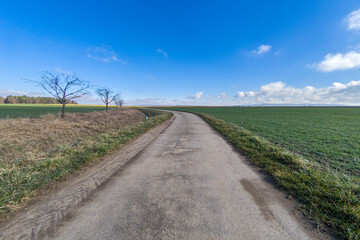 Fototapeta na wymiar Dirty farm road with blue sky and green fields