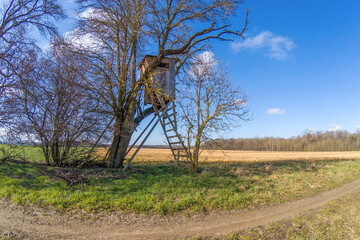 Typical German hunter seat hidden in the undergrowth