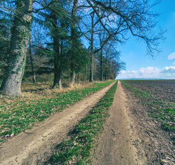 Obraz premium Dirty farm road between a field to the right and trees to the left
