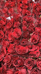 Bouquets of burgundy roses. Floral business concept. Bright floral background. Vertical WEB banner format