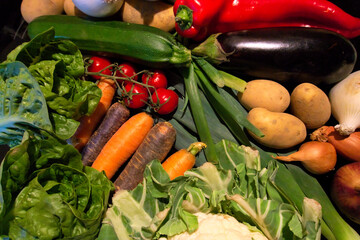 Collection of different vegetables laid out