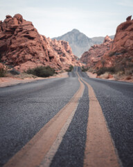 A street in the valley of fire state park, USA
