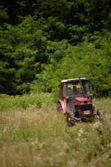 an old red tractor mowing the grass near the forest. use of agricultural machinery on the farm