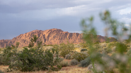 Colorful limestone formations in the valley of fire state park, USA