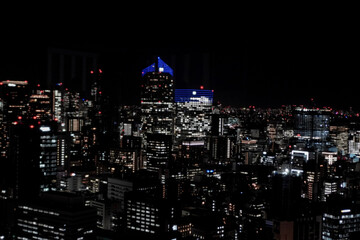 Obraz premium 東京の夜景