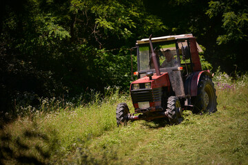 Obraz premium an old red tractor mowing the grass near the forest. use of agricultural machinery on the farm