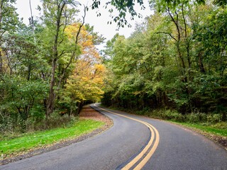 Tomlinson Run State Park in the fall in West Virginia with the fall colors and trees with a road leading through the park and a tranquil serene nature landscape scene.