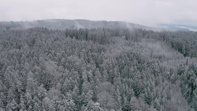 snow covered forest in winter from aerial angle