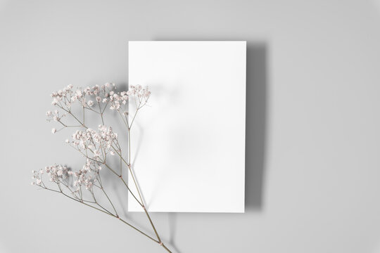 White paper empty blank, dried flowers on gray table. Invitation card mockup. Flat lay, top view, copy space, mockup