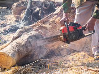 Man's hand is holding a handheld petrol chain saw cutting wood . Cut the tree trunk and dust off the debris.