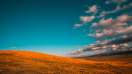 Fototapeta na wymiar Bright orange California Pobby (Eschscholzia) in the Antelope Valley, California, USA