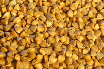 Natural food - buckwheat groats. Portion of groats before cooking. Preparation of the meal. A meal for vegetarians. Brown culinary background.
