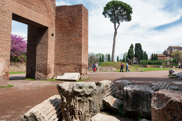 Roma. Colle Palatino con resti  archeologici e grande pino con visitatori