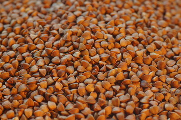 Natural food - buckwheat groats. Portion of groats before cooking. Preparation of the meal. A meal for vegetarians. Brown culinary background.