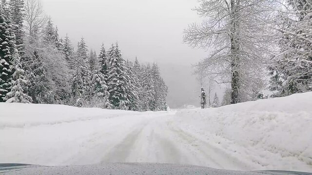 Driving Through Snowy Off-Road On Snowfall Day At Snoqualmie, Washington State In USA. - POV