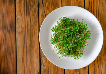 Arugula sprouts in a ceramic plate on the old rustic table top view. Micro greens full of vitamins and freshness. Super food concept. Copy space.