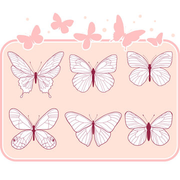 Pastel outline butterfly icons