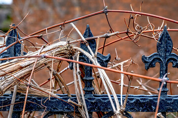 Spikes on a metal fence