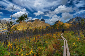 Blue sky at hiking trails to Mount Hesten in Senja, Northern Norway