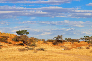 beautiful landscape view in Namibia – Africa