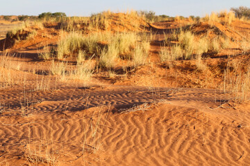 Naklejka premium beautiful landscape view in Namibia – Africa